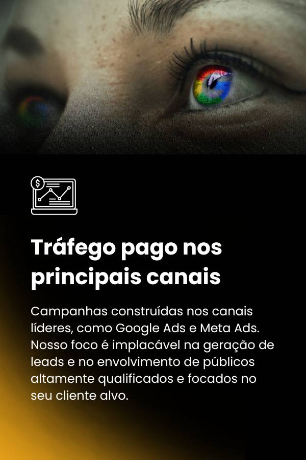 trafego pago-geral